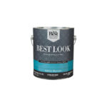 Do it Best Best Look 1 Gallon Extra Deep Base Satin Exterior House Paint