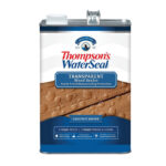 Thompson's Water Seal Transparent Chestnut Brown Gallon