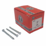 Concrete Nail (50mm) - 100 Nails Per Box