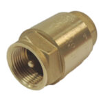 Check Valve Spring Europa (1'')