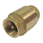 Europa Spring Check Valve, (2'')