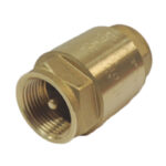 Check Valve Spring Europa (3/4'')