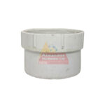 PVC DWV Cleanout Adapter 6 Inch