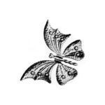 Wrought Iron Large Butterfly (137/10), 6-7/8 Inch (W) X 4-15/16 Inch (H)