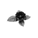 Wrought Iron Flower (1406/3), 5-1/2 Inch (D)
