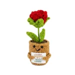 Novelty Crochet Flower