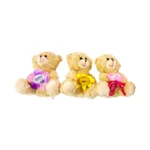 Novelty Plush Bear