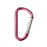 Diamond Visions Pink Carabiner Keychain