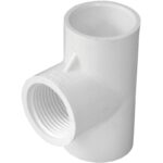 Charlotte Pipe 3/4 In. Solvent Weld x FIP Schedule 40 PVC Tee