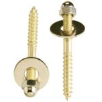 Do it Brass-Plated Steel Toilet Screws (2 Ct.)