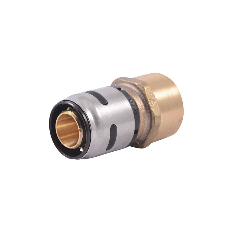 448228.jpg SharkBite EvoPex 3/4 x 3/4 Inch FPT Push-to-Connect Plastic Connector - Image 1