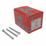 Concrete Nail (60mm) - 100 Nails Per Box