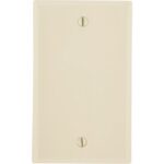 IV BLANK WALL PLATE