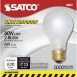 2PK 60W ROUGH SERV BULB