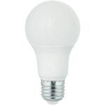 10PK 9W NL A19 LED BULB