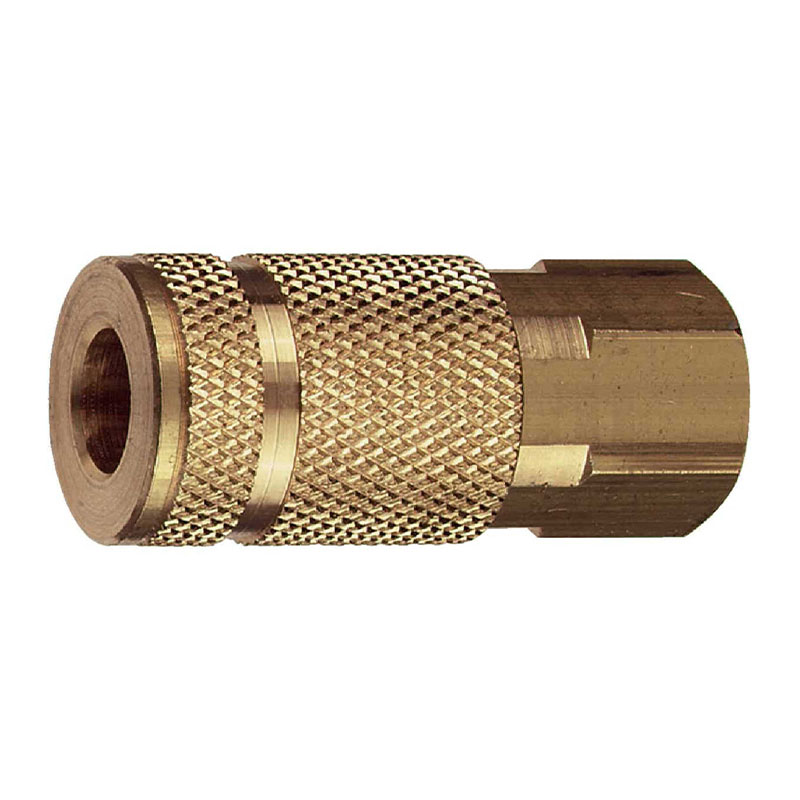 589403.jpg Tru-Flate ARO Series Push-to-Connect 1/4" FNPT Coupler - Image 1