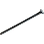 Do it 12d x 3-1/4 In. 9 ga Bright Common Nails (305 Ct., 5 Lb.)