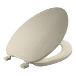 Bemis Toilet Seat (170AR0 - Bone