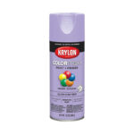 Krylon ColorMaxx Gloss Spray Paint Gum Drop