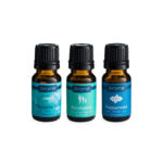 Candle Warmers Airome 10ml Breathe Clear Essential Oils Giftset