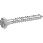 Zinc Hex Lag Screws 1/4"-20 X 6"