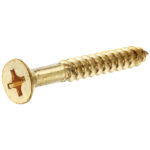 Brass Flat Head Phillips Wood Screws (#10 X 1")