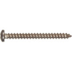 18-8 Stainless Pan Head Phillips Sheet Metal Screws (#12 X 1")