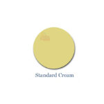 Penta Gloss Paint Standard Cream (Gallon) - Image 2